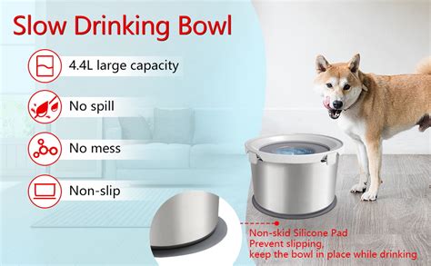 deep dog bowls no splash.